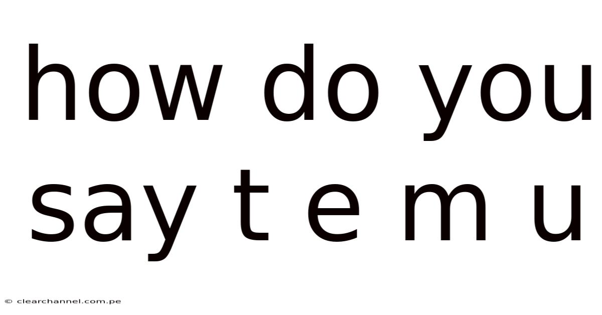 How Do You Say T E M U