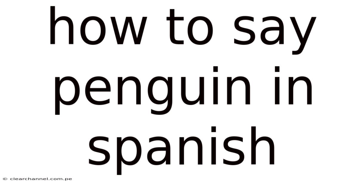 How To Say Penguin In Spanish