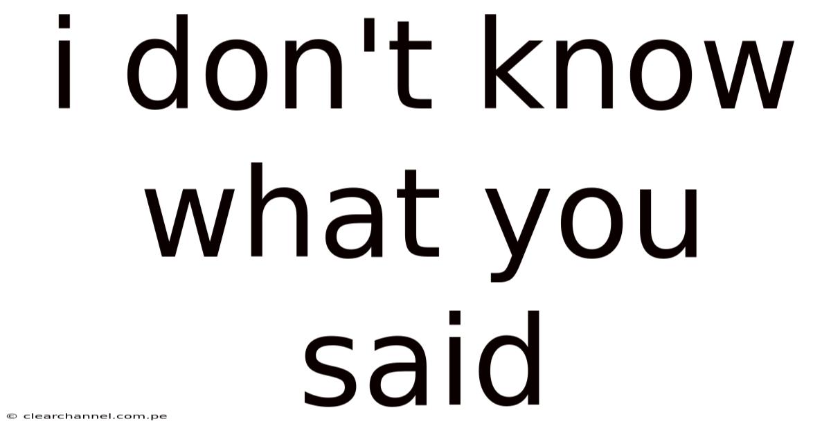 I Don't Know What You Said
