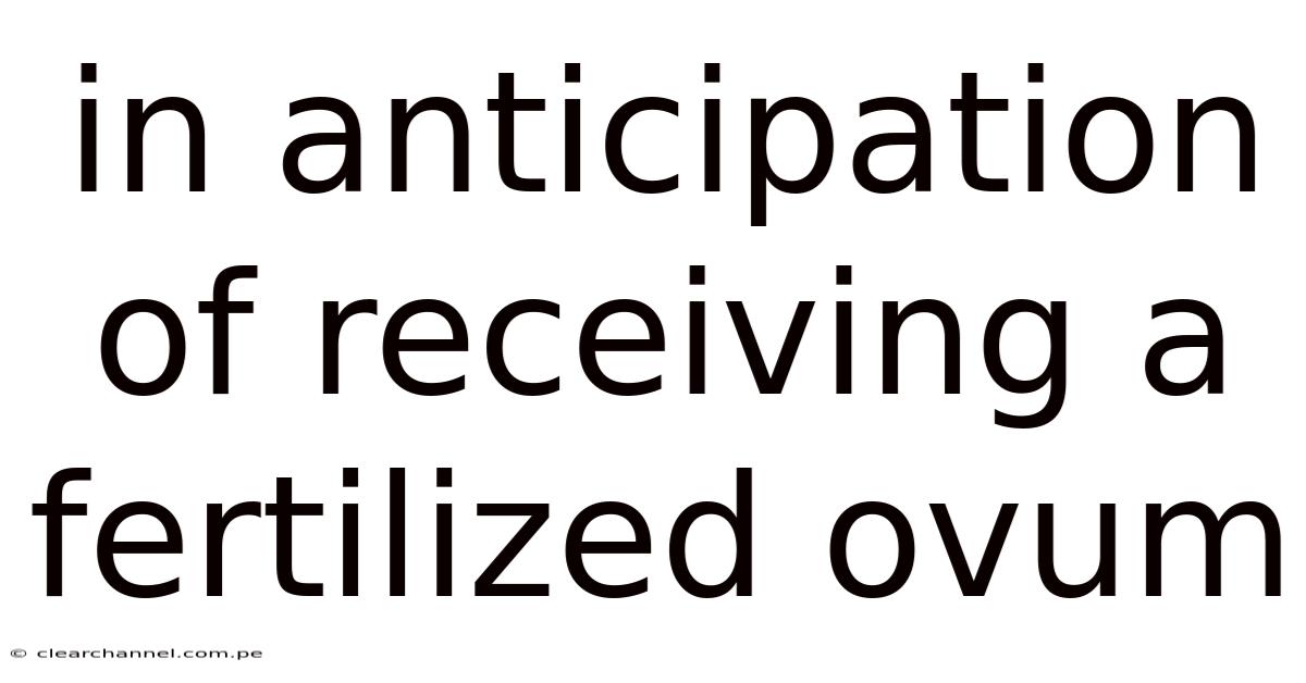 In Anticipation Of Receiving A Fertilized Ovum