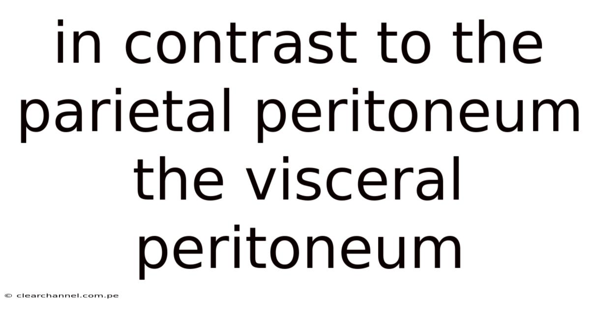 In Contrast To The Parietal Peritoneum The Visceral Peritoneum