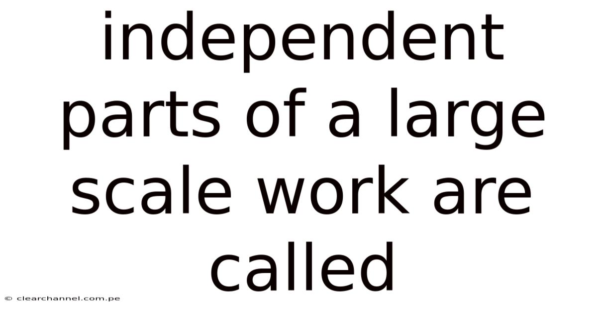 Independent Parts Of A Large Scale Work Are Called