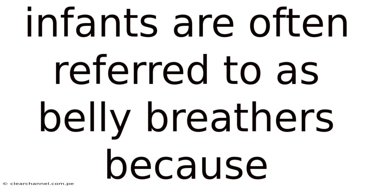 Infants Are Often Referred To As Belly Breathers Because