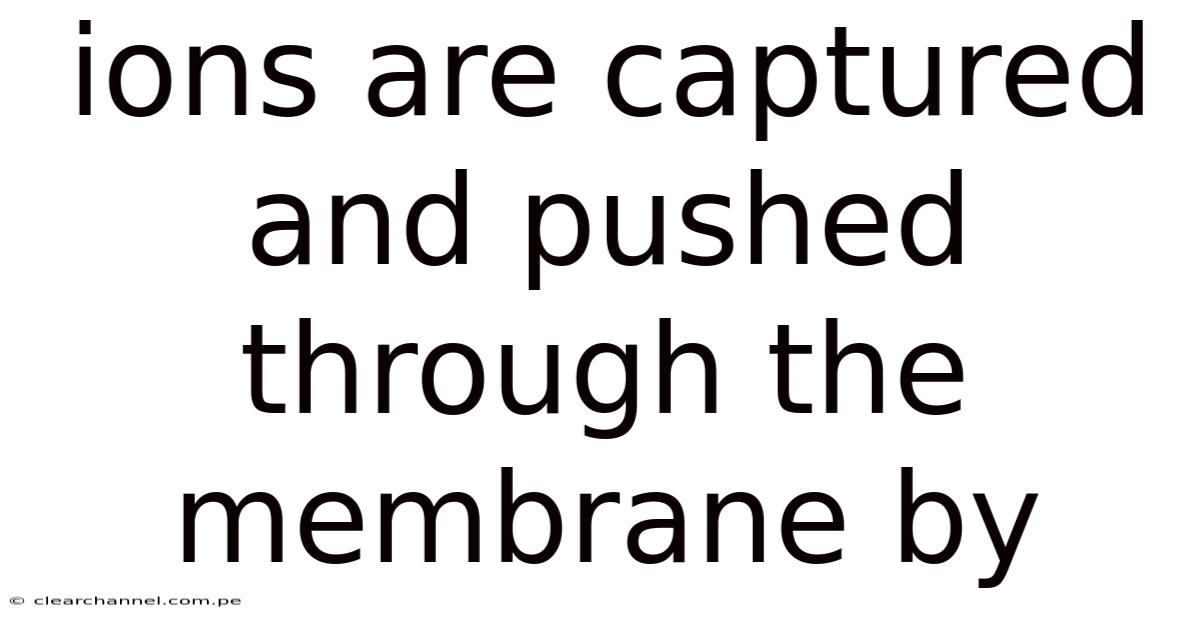 Ions Are Captured And Pushed Through The Membrane By