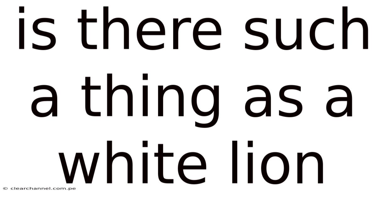 Is There Such A Thing As A White Lion