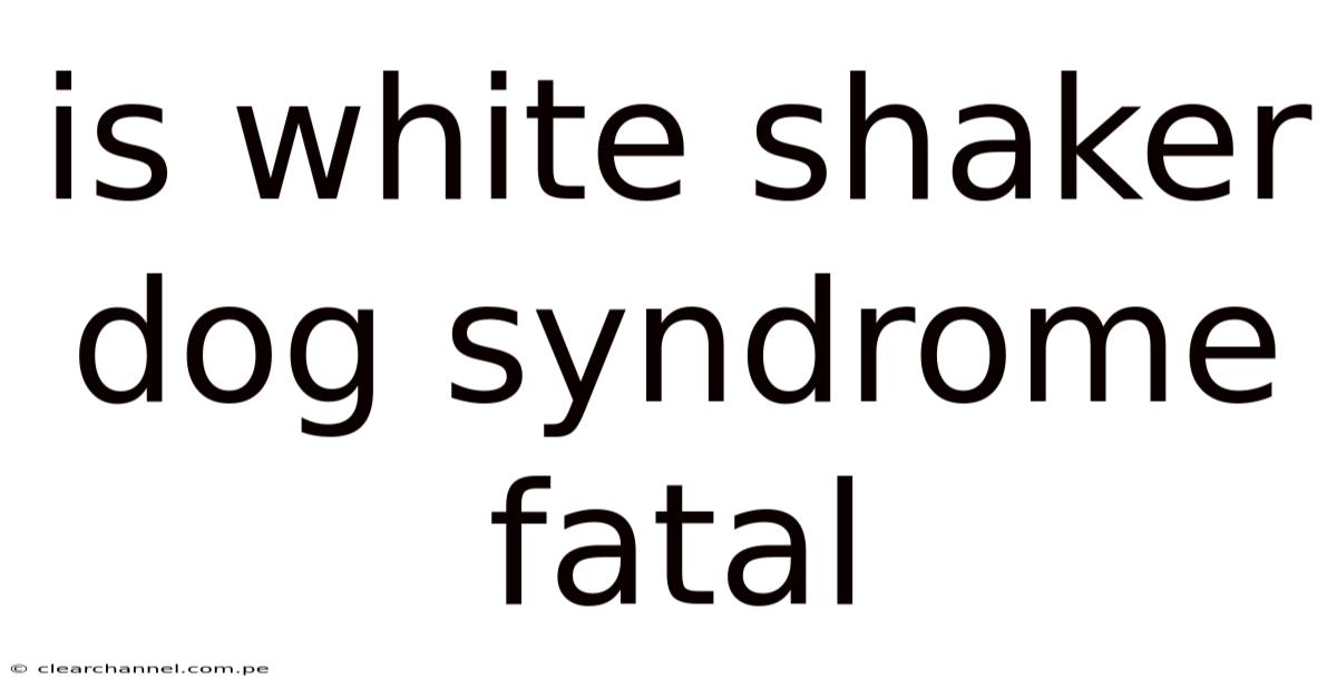 Is White Shaker Dog Syndrome Fatal