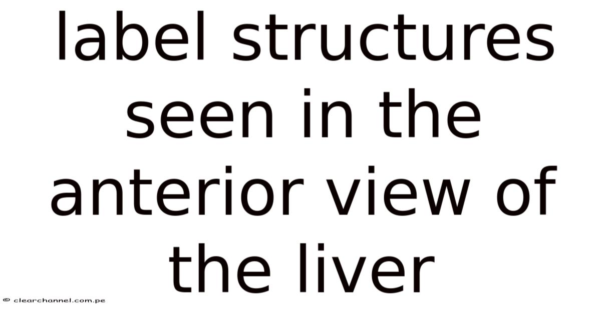Label Structures Seen In The Anterior View Of The Liver