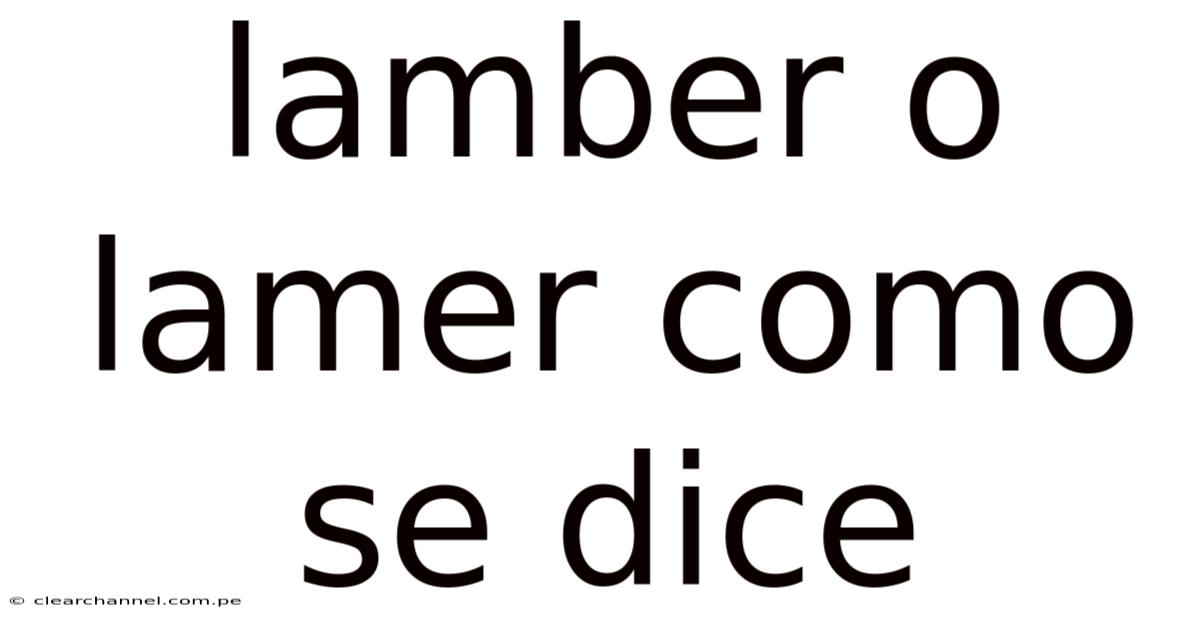 Lamber O Lamer Como Se Dice