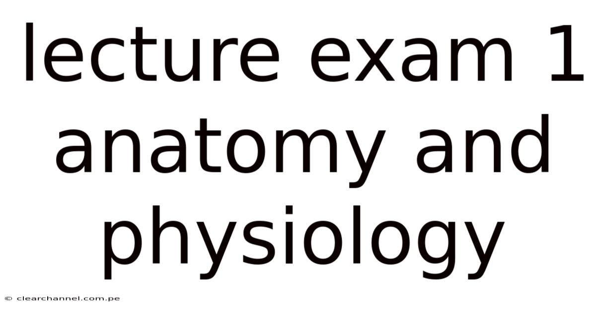 Lecture Exam 1 Anatomy And Physiology