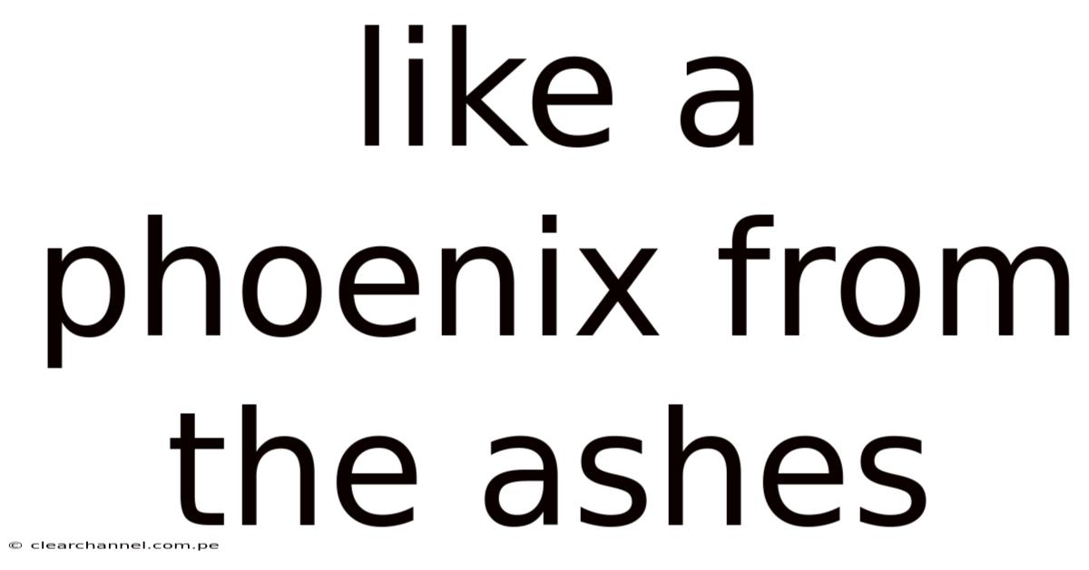 Like A Phoenix From The Ashes