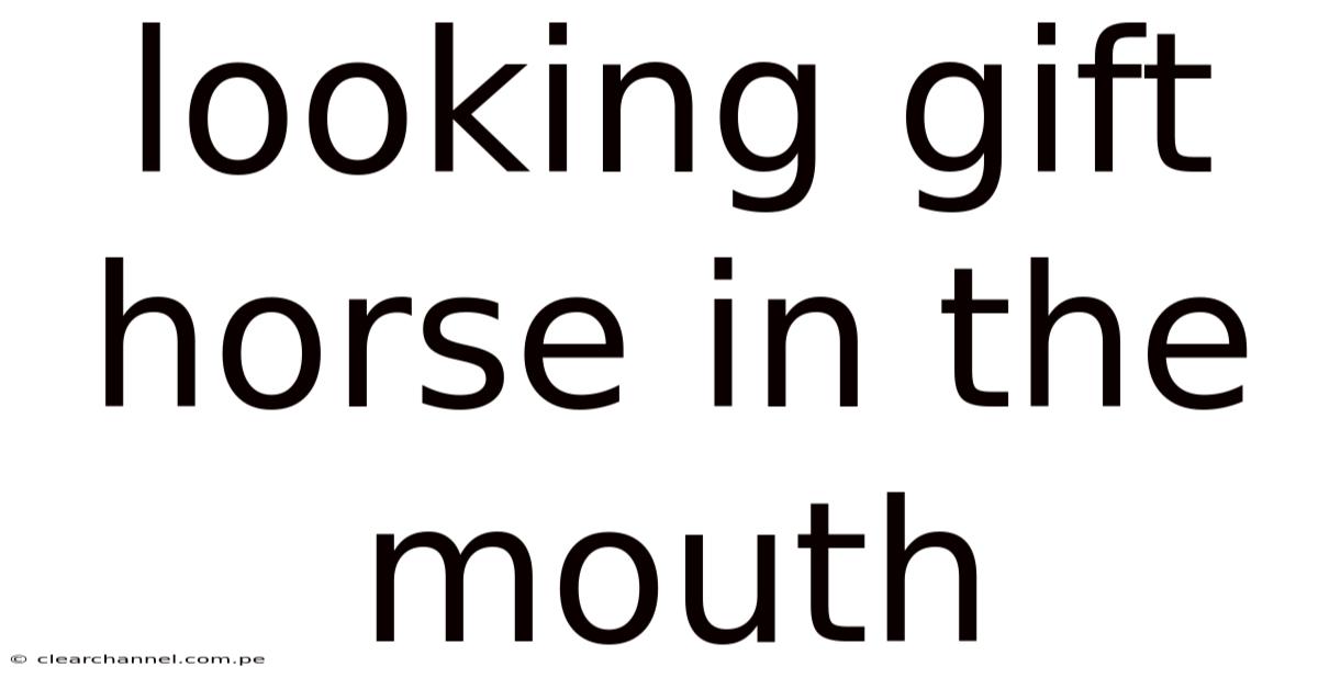 Looking Gift Horse In The Mouth