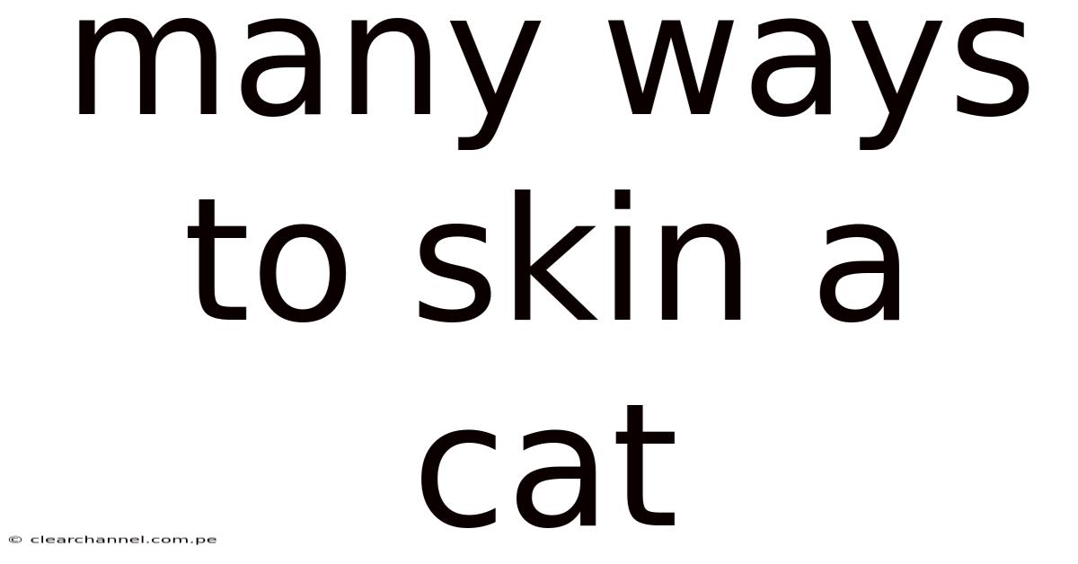 Many Ways To Skin A Cat