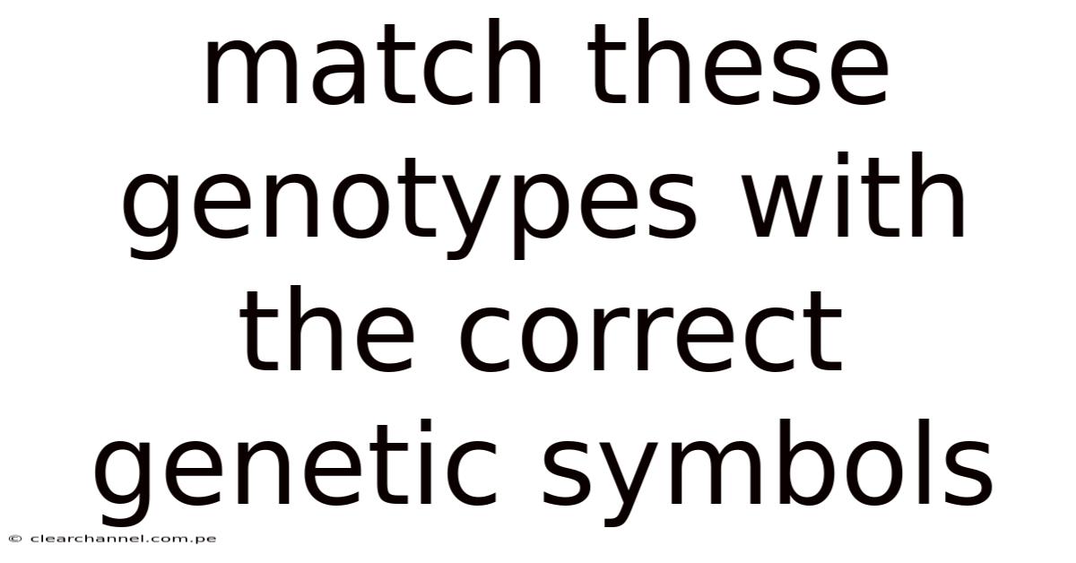 Match These Genotypes With The Correct Genetic Symbols