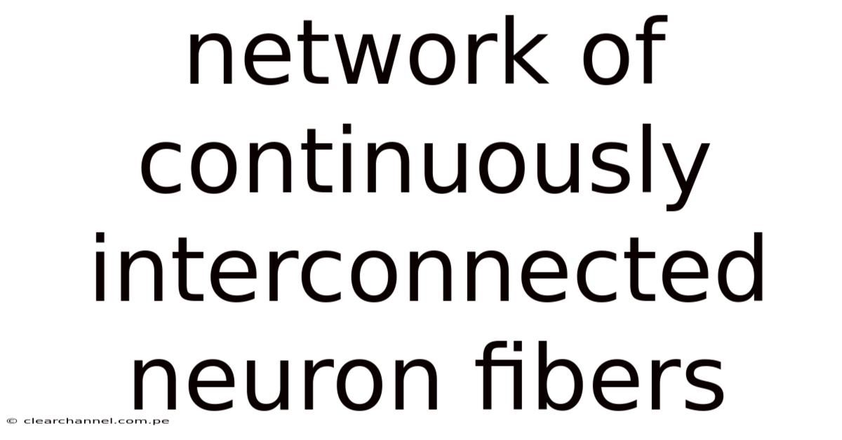 Network Of Continuously Interconnected Neuron Fibers