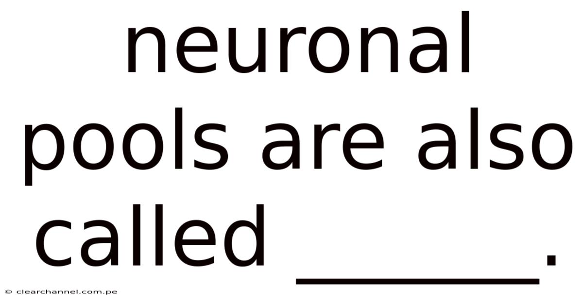 Neuronal Pools Are Also Called ______.