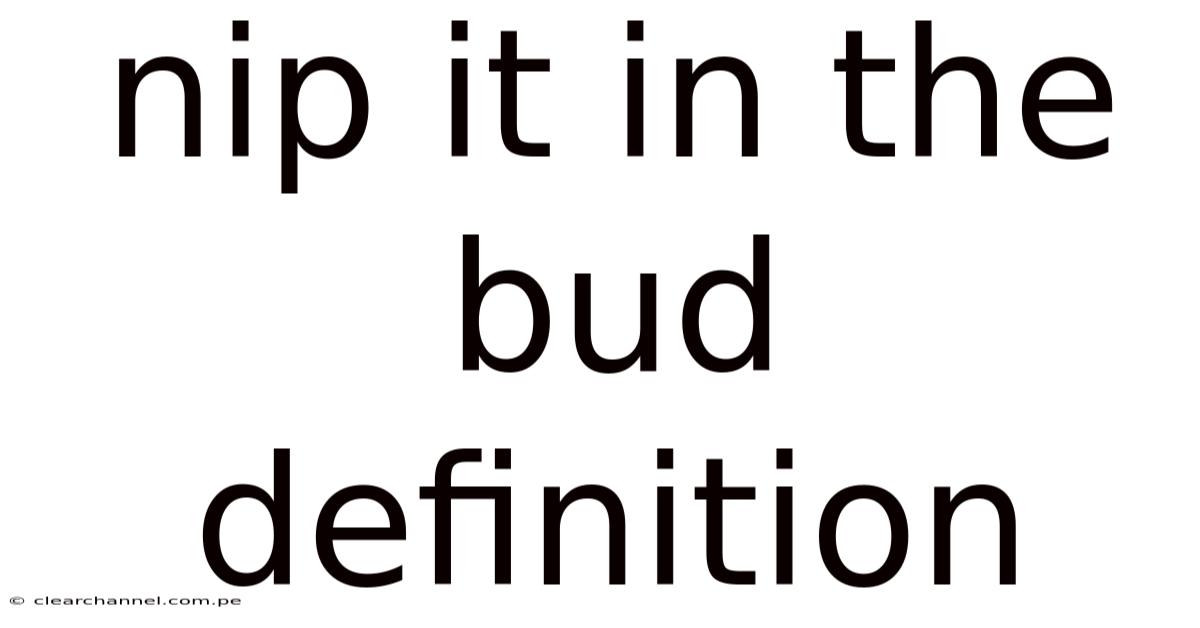 Nip It In The Bud Definition
