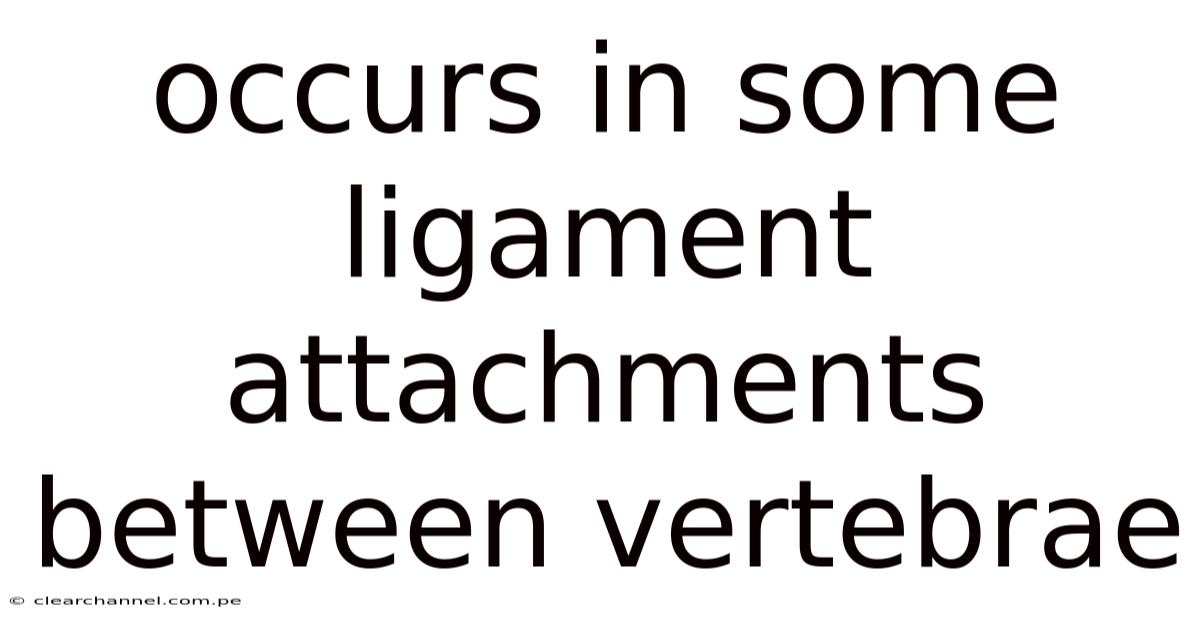 Occurs In Some Ligament Attachments Between Vertebrae