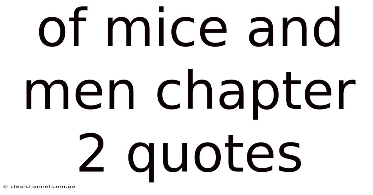 Of Mice And Men Chapter 2 Quotes