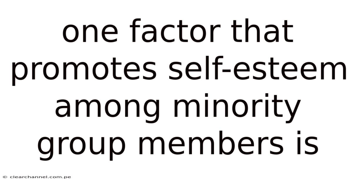 One Factor That Promotes Self-esteem Among Minority Group Members Is
