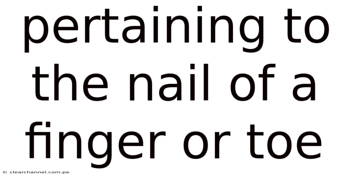 Pertaining To The Nail Of A Finger Or Toe