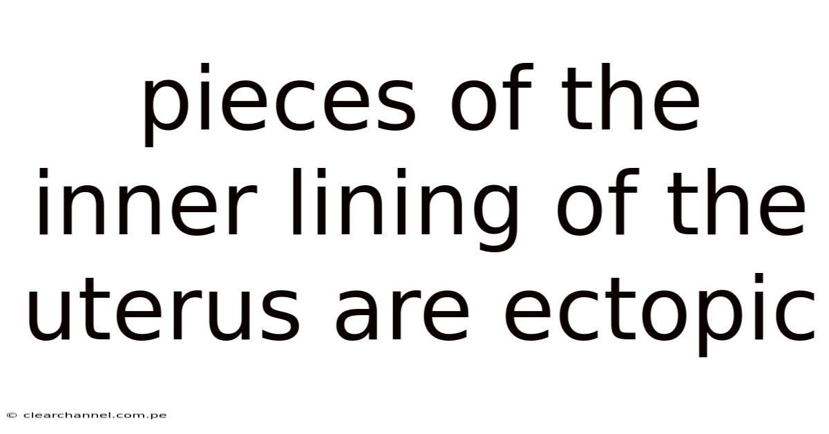 Pieces Of The Inner Lining Of The Uterus Are Ectopic