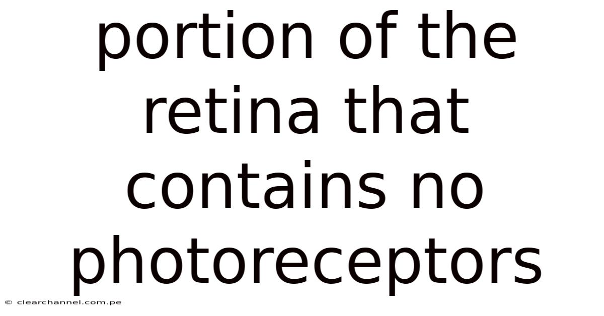 Portion Of The Retina That Contains No Photoreceptors