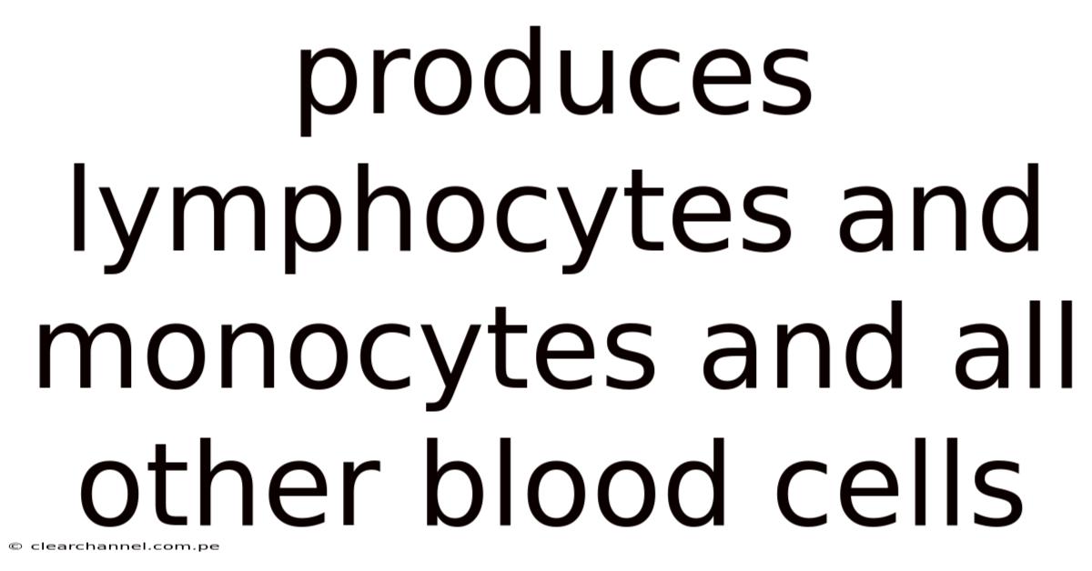 Produces Lymphocytes And Monocytes And All Other Blood Cells