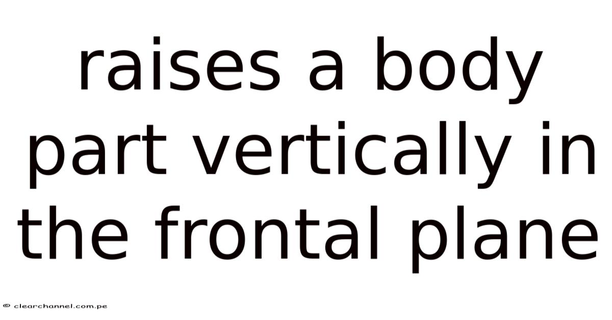 Raises A Body Part Vertically In The Frontal Plane