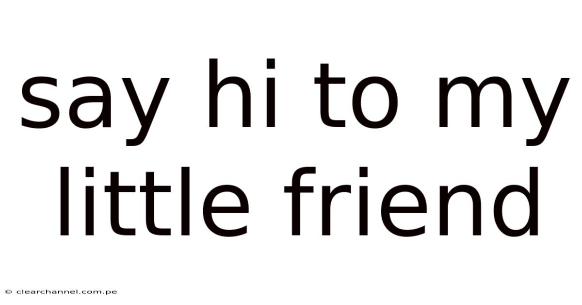 Say Hi To My Little Friend