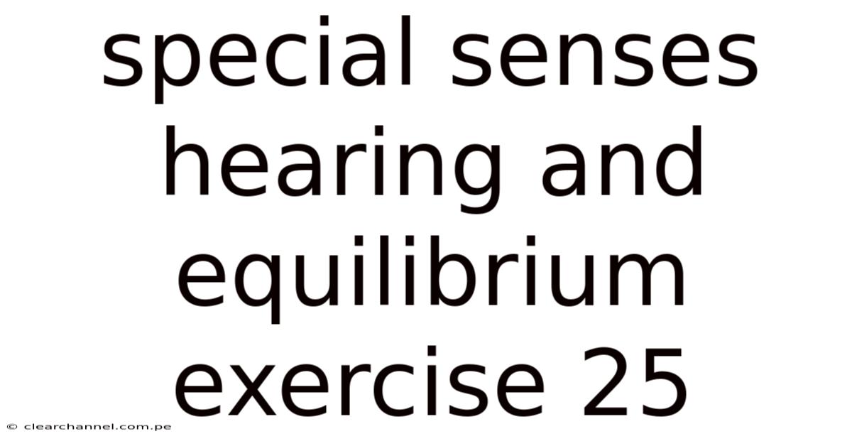 Special Senses Hearing And Equilibrium Exercise 25