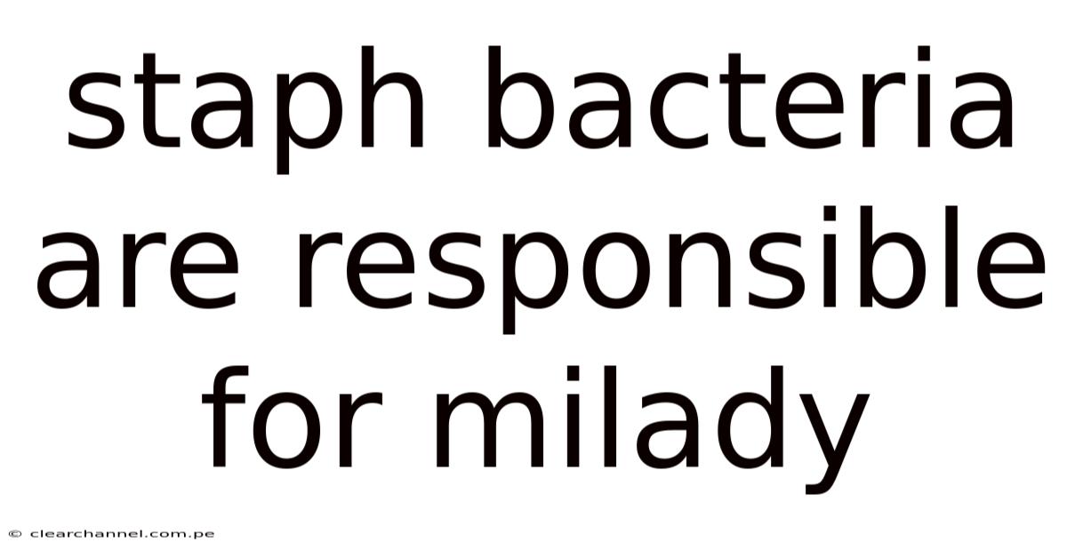 Staph Bacteria Are Responsible For Milady