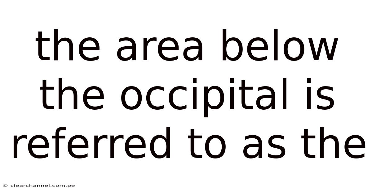 The Area Below The Occipital Is Referred To As The