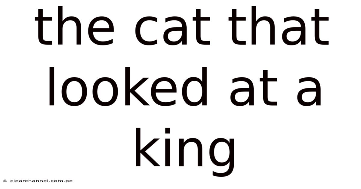 The Cat That Looked At A King