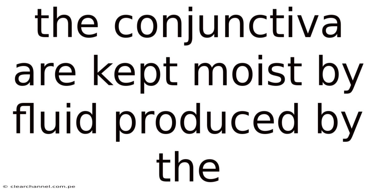 The Conjunctiva Are Kept Moist By Fluid Produced By The