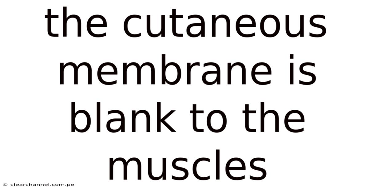 The Cutaneous Membrane Is Blank To The Muscles