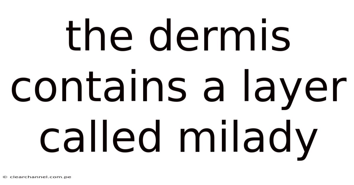 The Dermis Contains A Layer Called Milady