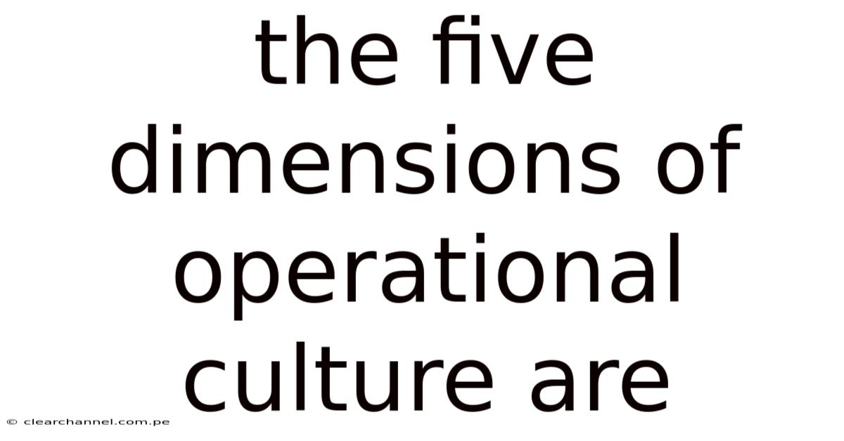 The Five Dimensions Of Operational Culture Are