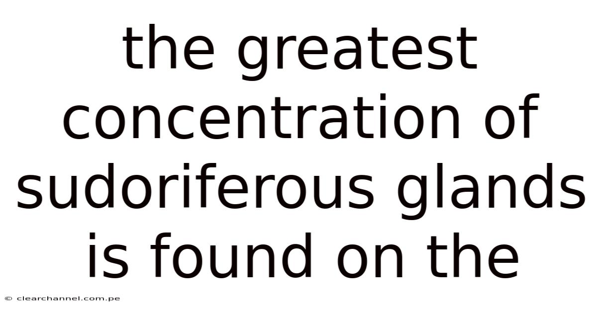 The Greatest Concentration Of Sudoriferous Glands Is Found On The