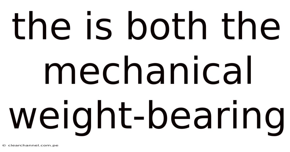 The Is Both The Mechanical Weight-bearing