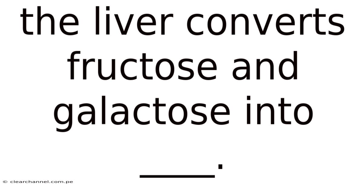 The Liver Converts Fructose And Galactose Into ____.