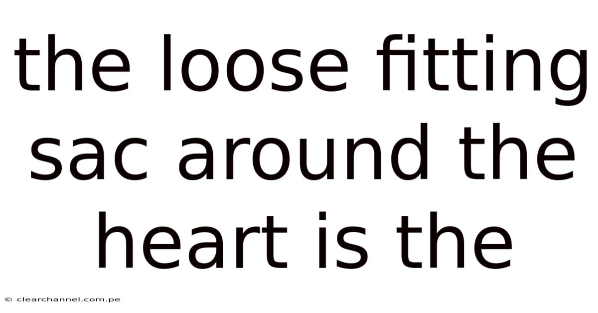 The Loose Fitting Sac Around The Heart Is The