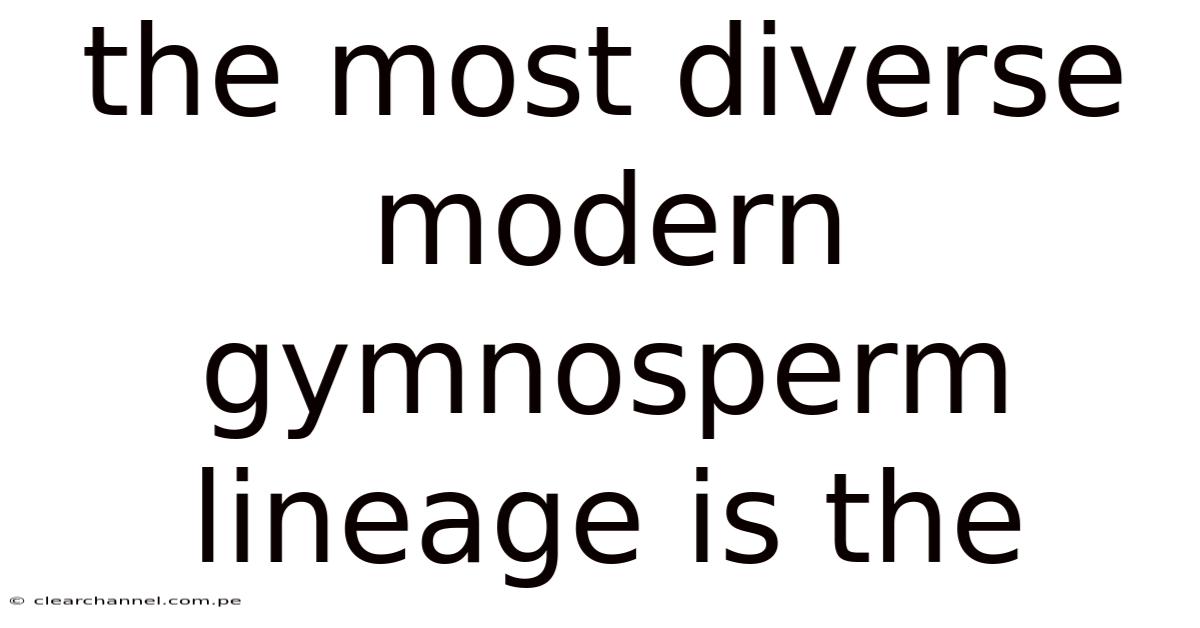 The Most Diverse Modern Gymnosperm Lineage Is The