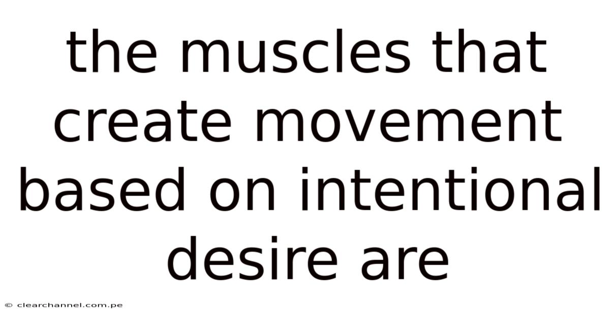 The Muscles That Create Movement Based On Intentional Desire Are
