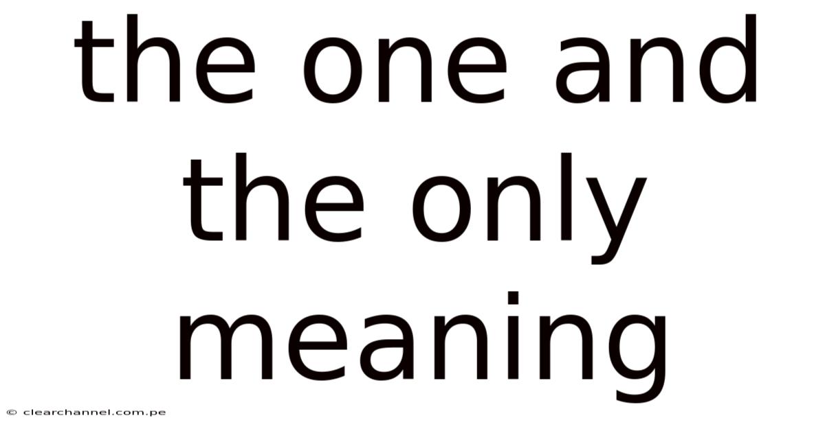The One And The Only Meaning