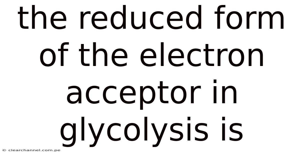 The Reduced Form Of The Electron Acceptor In Glycolysis Is
