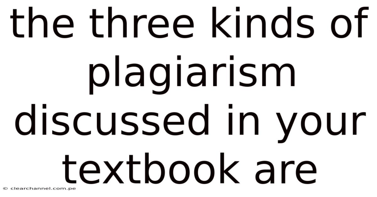The Three Kinds Of Plagiarism Discussed In Your Textbook Are