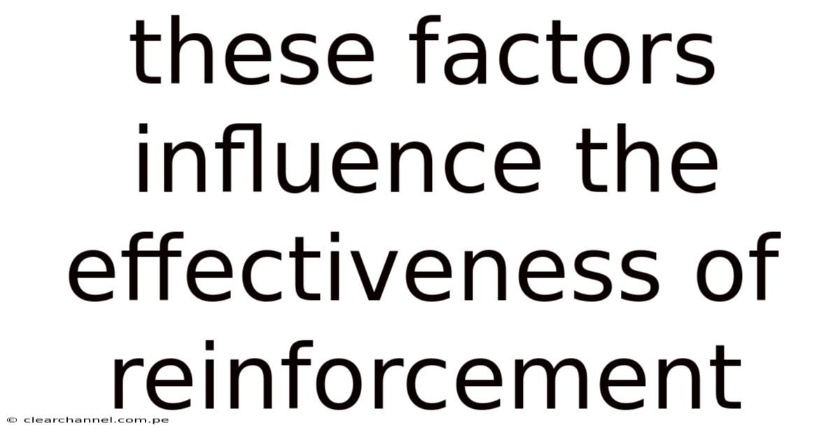 These Factors Influence The Effectiveness Of Reinforcement