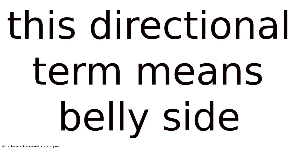 This Directional Term Means Belly Side