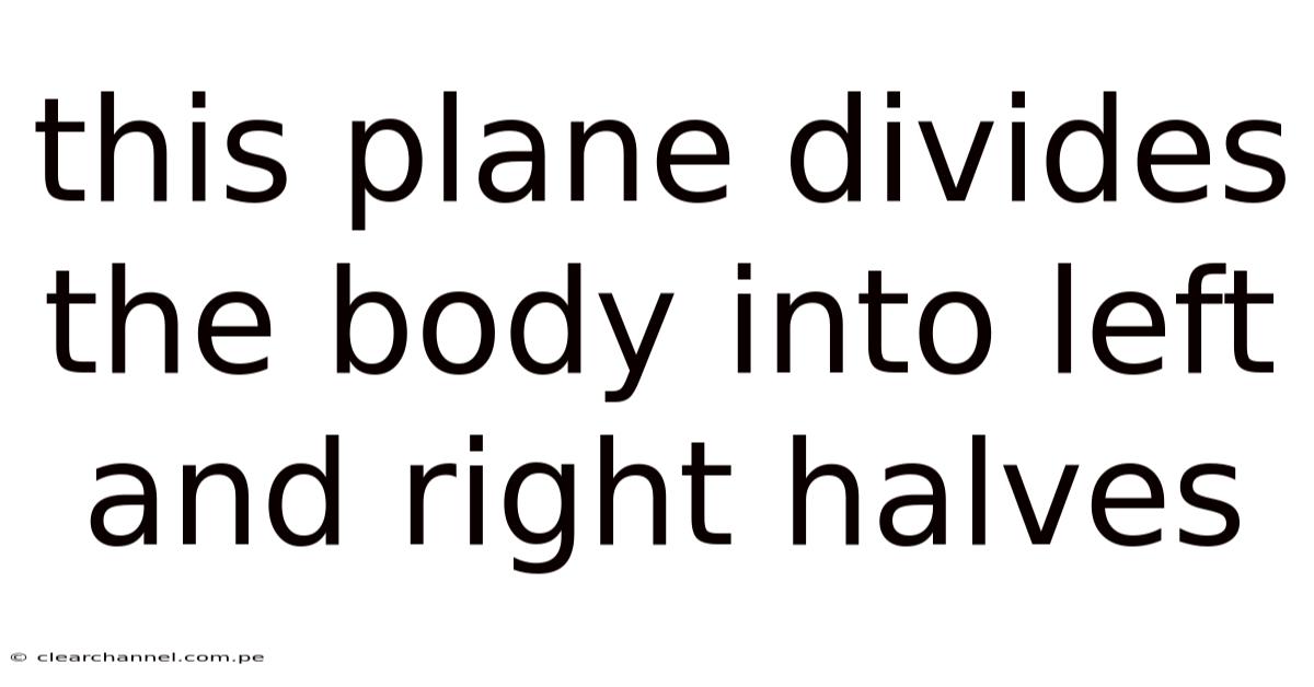 This Plane Divides The Body Into Left And Right Halves