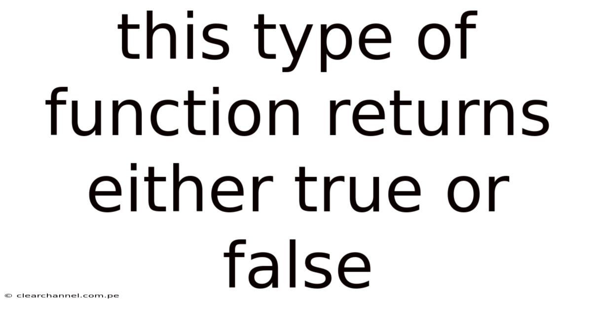 This Type Of Function Returns Either True Or False